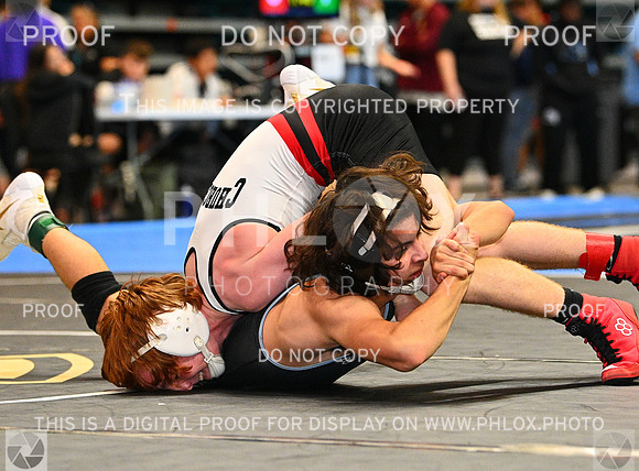 DLS_0116