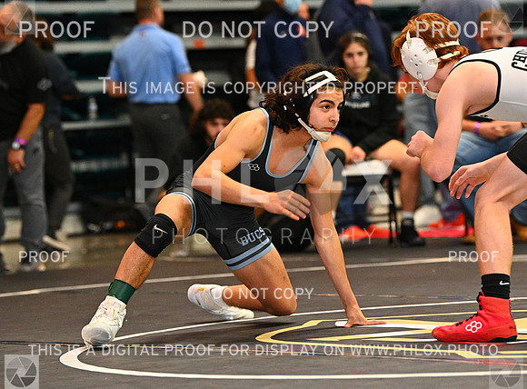 DLS_0089
