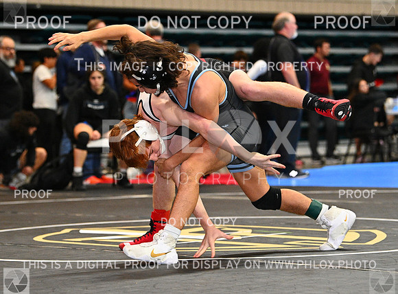 DLS_0090
