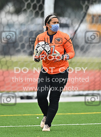 DLS_0936