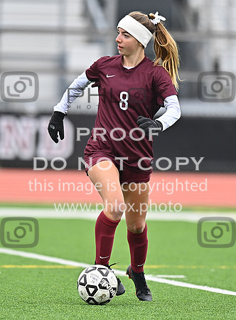 DLS_0979