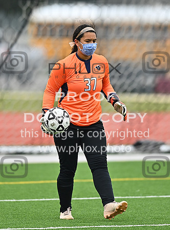 DLS_0937