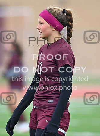 DLS_0987