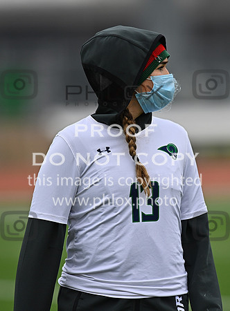 DLS_0932