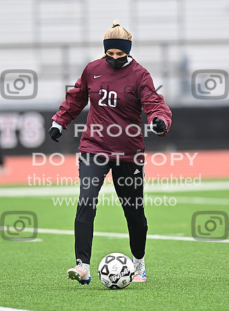DLS_0931
