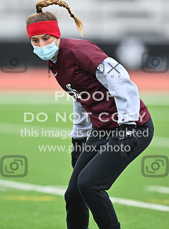 DLS_0934
