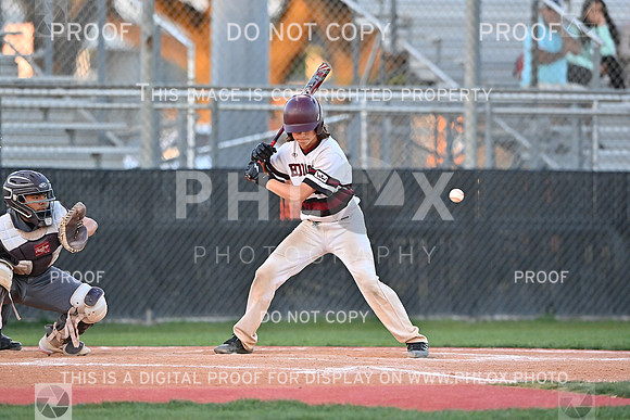 DLS_0098