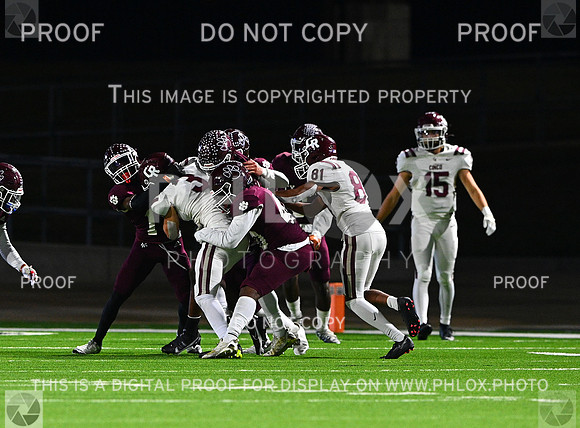 DLS_8218