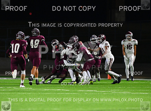 DLS_8220