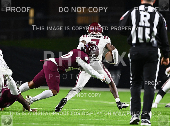 DLS_7754-2