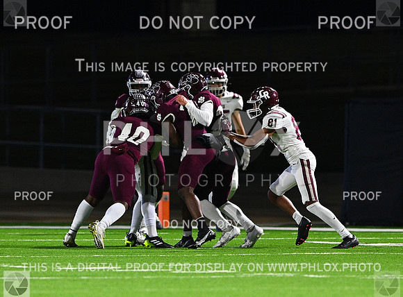 DLS_8215