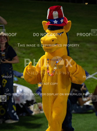 CAR_8181-Edit