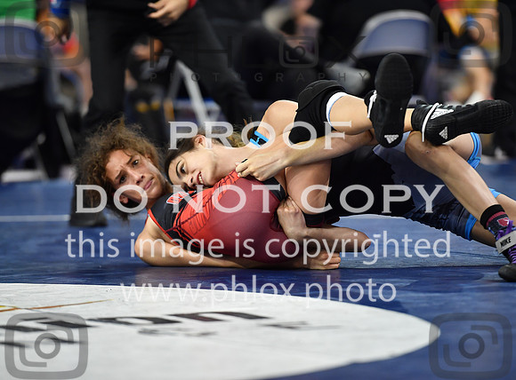 FDS_0734