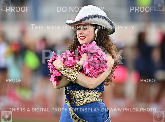 DLS_8743