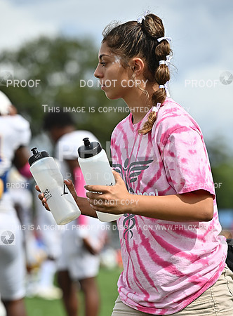 DLS_8694
