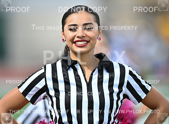 DLS_8702