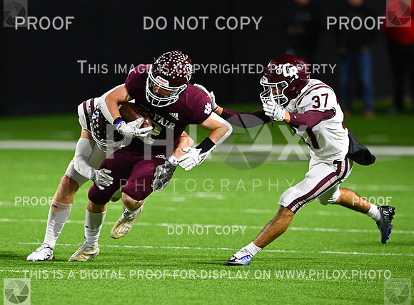 DLS_8516