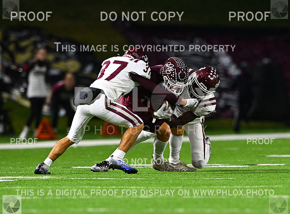 DLS_7939