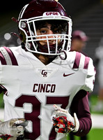 DLS_7329