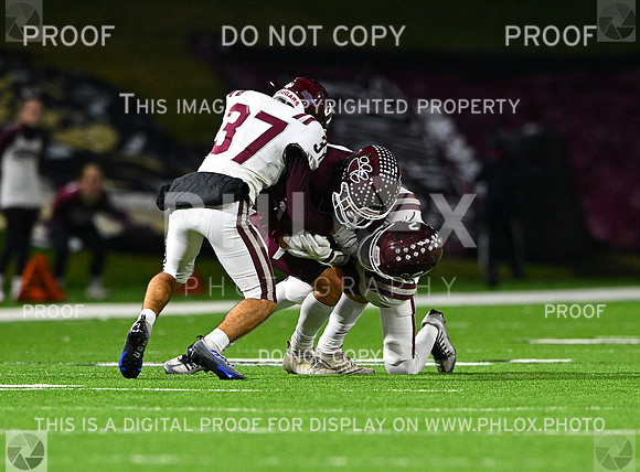 DLS_7940