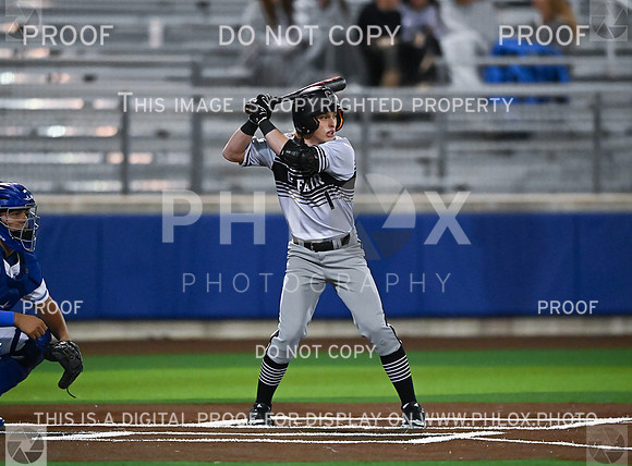 DLS_2317