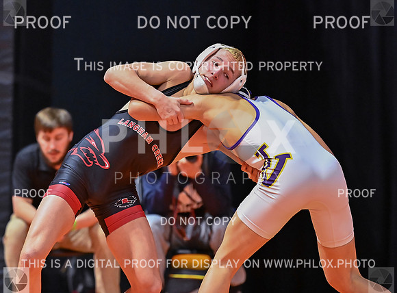 DLS_7280