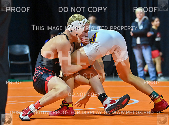 DLS_7345