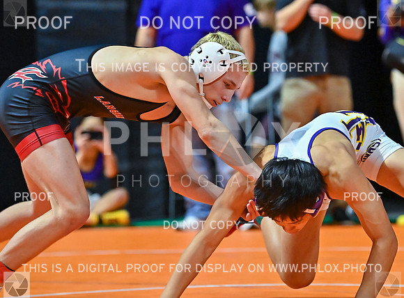 DLS_7396