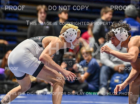 DLS_8390