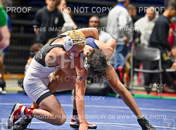 DLS_8429