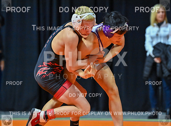 DLS_7319