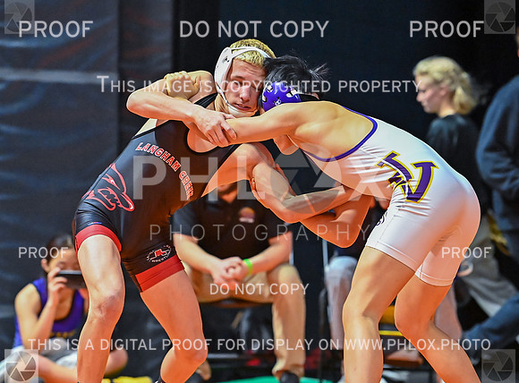 DLS_7275