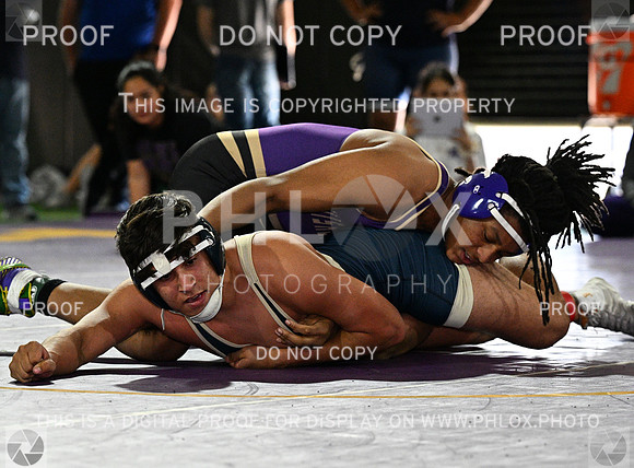 DLS_7978