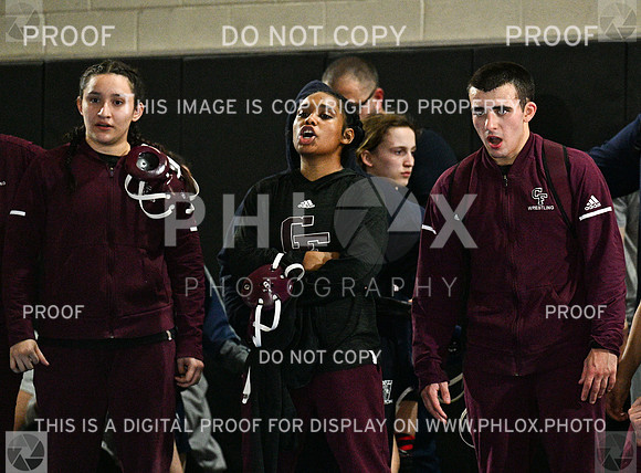 DLS_7412