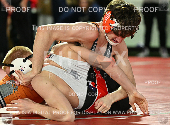 DLS_7351