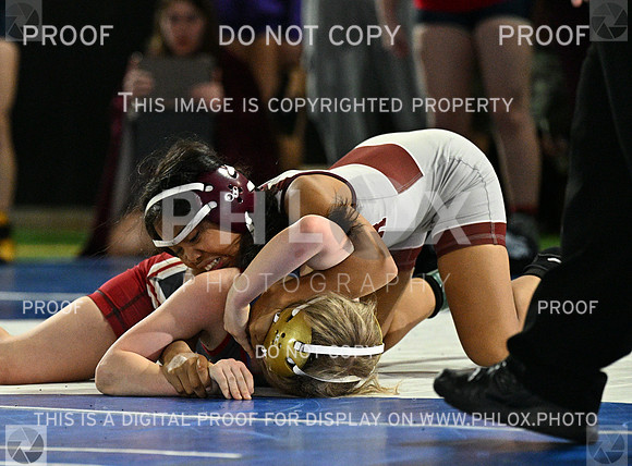 DLS_7417