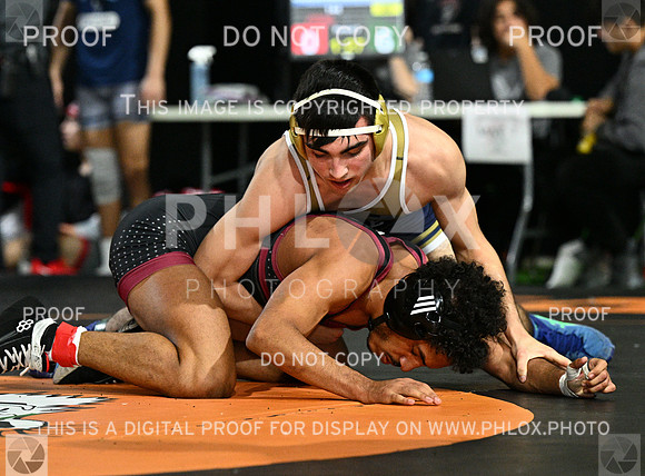 DLS_7399