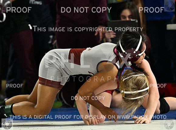 DLS_7408