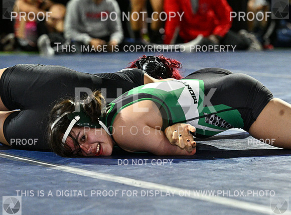 DLS_7448
