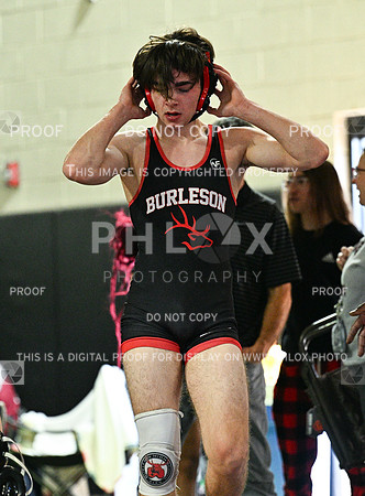 DLS_8252