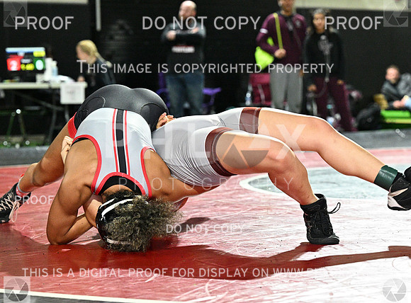 DLS_7307