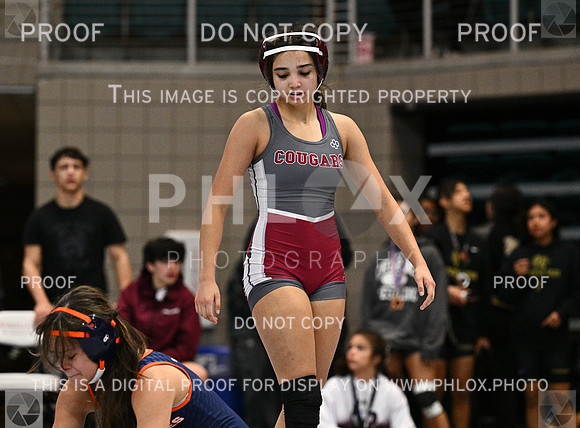 DLS_4816