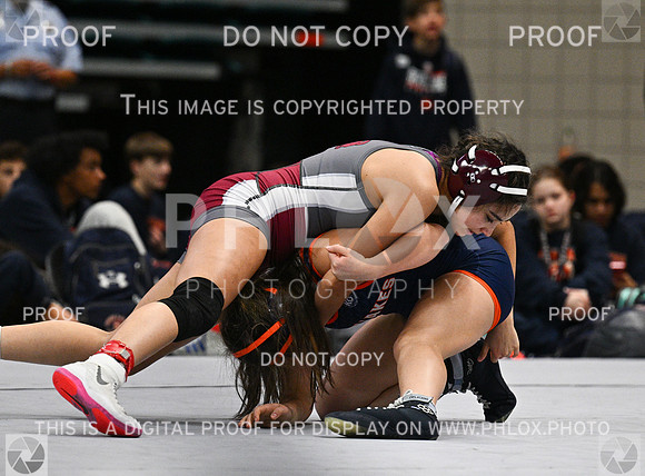 DLS_4777