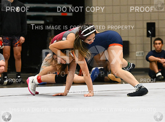 DLS_3806