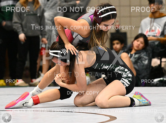 DLS_4129