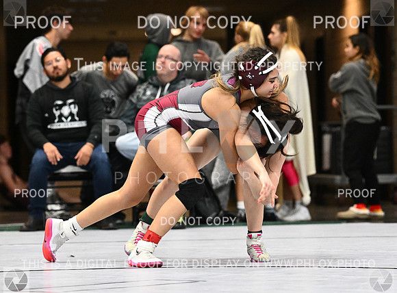 DLS_4206