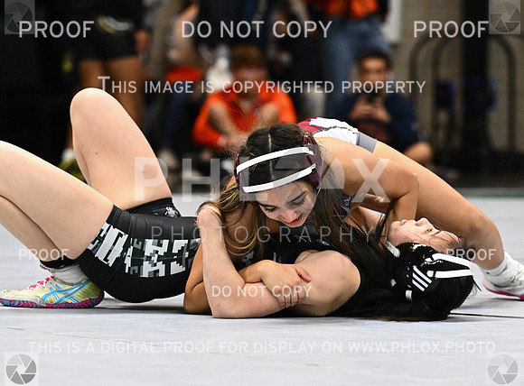 DLS_4186
