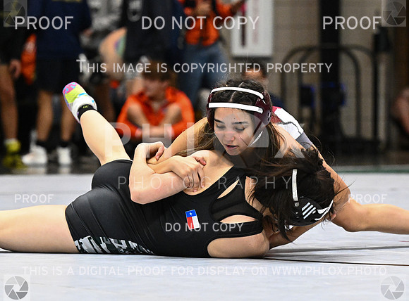 DLS_4182