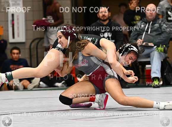 DLS_4269