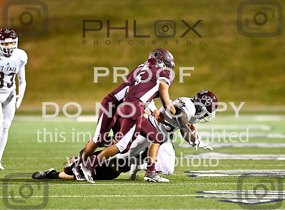 DLS_3987